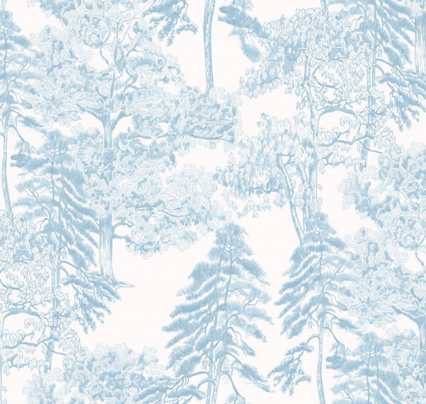 Milassa Ambient AM5 006