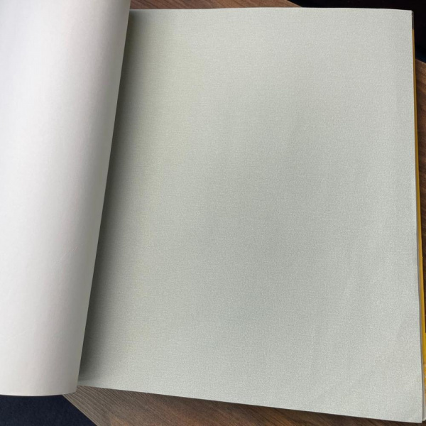 Andrea Rossi Spectrum Max 54359-8