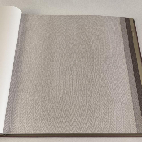 Alessandro Allori Bruni RBN 1002-17 Alessandro Allori Bruni RBN 1002-17