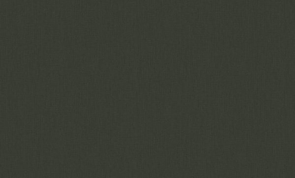 A. Grifoni Palazzo Ducale 7018-11