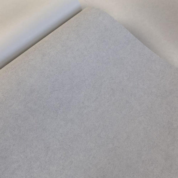 Andrea Rossi Cavolli 54422-6