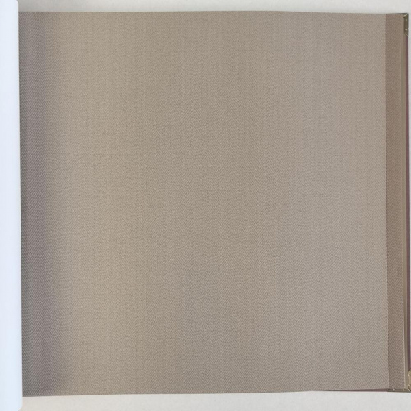 Alessandro Allori Bruni RBN 1002-10