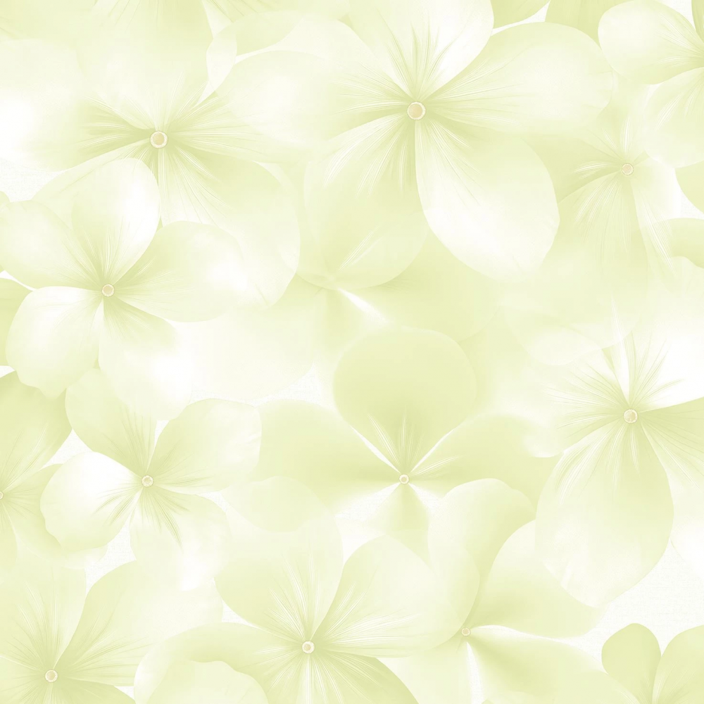 Andrea Rossi Spectrum Boom 54483-5