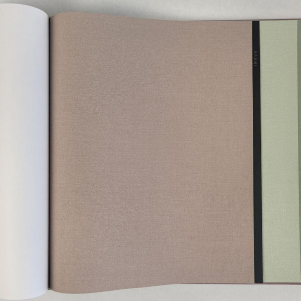 Alessandro Allori Bruni RBN 1003-9