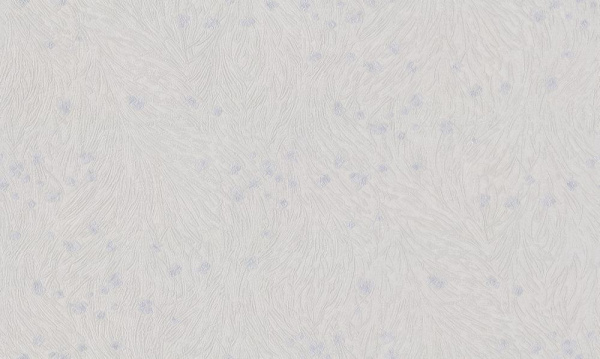 Studio Italia Collection Tesoro TS 10022 Studio Italia Collection Tesoro TS 10022