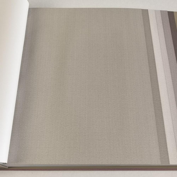 Alessandro Allori Bruni RBN 1002-24 Alessandro Allori Bruni RBN 1002-24