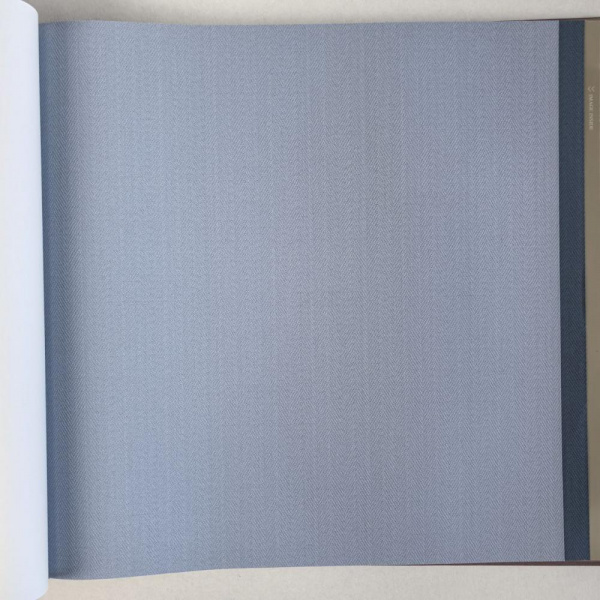 Alessandro Allori Bruni RBN 1002-43 Alessandro Allori Bruni RBN 1002-43