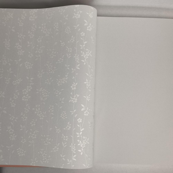 Andrea Rossi Berggi 54451-4